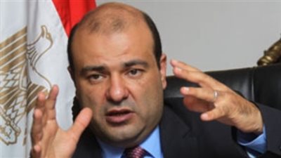 خالد حنفى: ضرورة قيام الحكومات بوضع سياسات مشتركة لتحقيق التنمية المستدامة