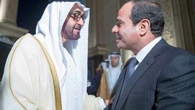 ولي عهد أبو ظبي يعرب عن التضامن مع مصر في التصدي للإرهاب