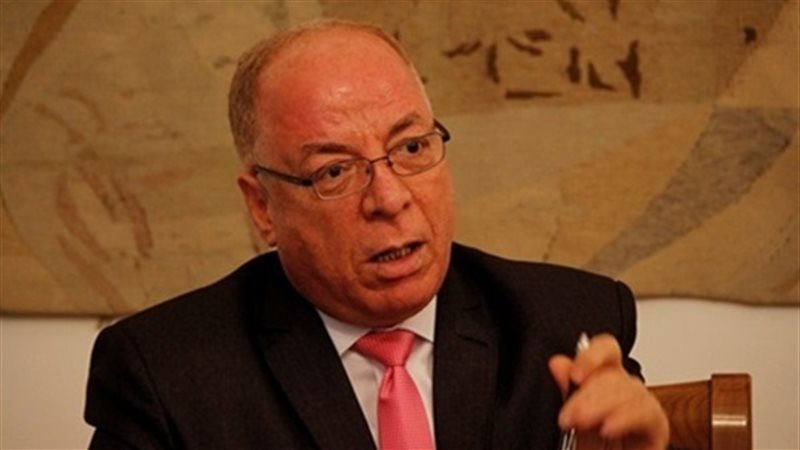 وزير الثقافة حلمي