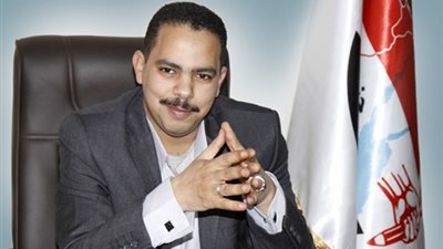 أشرف رشاد: السياسة المصرية نجحت في إنهاء أزمة الرحلات الجوية الروسية
