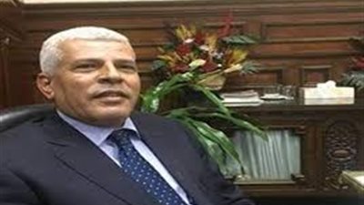 غدًا.. نقيب الزراعيين يزور الوادي الجديد لمتابعة مكافحة إيدز النخيل