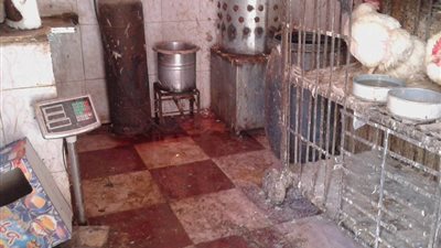 صور| تحرير 10 محضر بيئي وصحي في أبوتيج بأسيوط 
