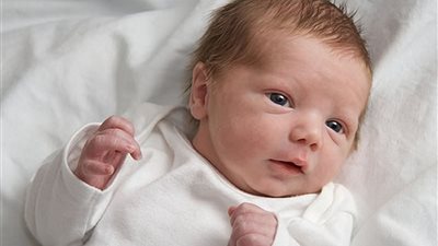 المركزي للإحصاء: 20.7 ألف مولود خلال عام 