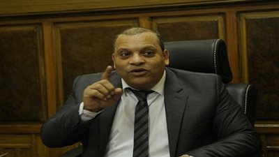 أحمد الفضالي: قادر على خوض انتخابات الرئاسة المصرية 2018