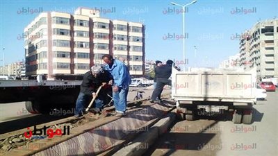 صور| رفع الإشغالات وتجميل شوارع بورسعيد.. و