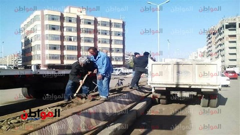 تجميل شوارع بورسعيد