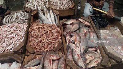تراجع فى أسعار الأسماك اليوم الاربعاء 21 / 2 / 2018