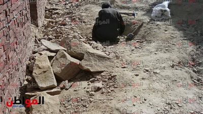 فيديو| 