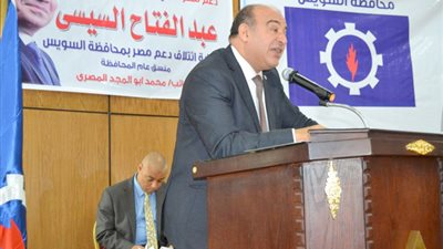 دعم مصر: الشعب سيرد على العالم بالنزول للانتخابات