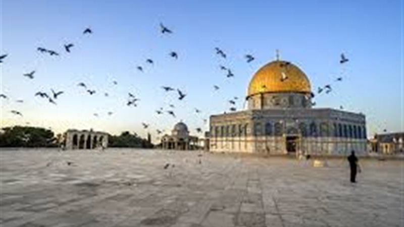 القدس المحتلة 