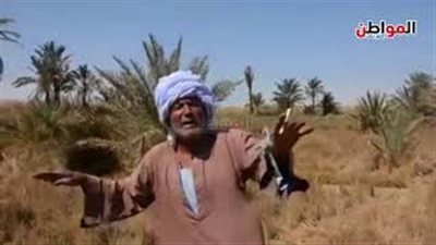 كلح الجبل أدغال إفريقيا في أسوان.. والأهالي: 