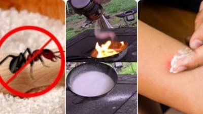  10 استخدامات مدهشة للملح.. تعرفي عليها