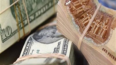 رويترز: مصر ترفع سعر الدولار جنيهاً ونصف في موازنة العام الجديد
