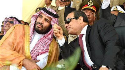الرئيس السيسي وولي العهد السعودي يستمعان لشرح العناني عن 
