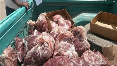حملة مكبرة تضبط 12 طن لحوم فاسدة في الخانكة