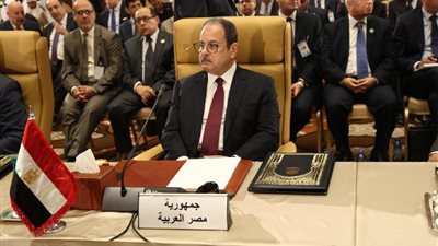 وزير الداخلية: قوى الظلام والدمار لم تنل من عظمة مصر 