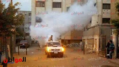 صور| الدفع بـ8 سيارات لمكافحة الناموس والباعوض في الخانكة 