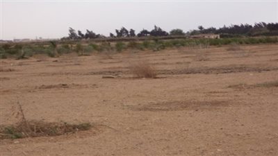 ارتفاع سعر متر الأرض لـ 180 ألف جنيه في أسيوط 