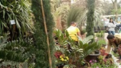 صور| معرض الزهور بحديقة الأورمان 