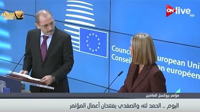 فيديو| 