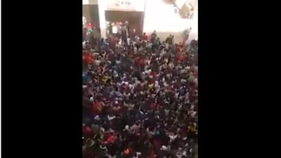 فيديو| 