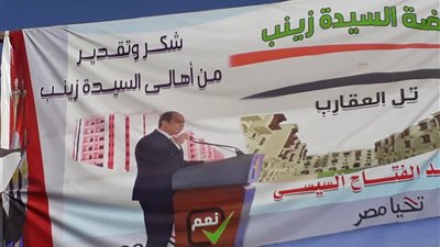 صور| عدسة بوابة المواطن ترصد لافتات دعم السيسي بالسيدة زينب قبل الصمت الإنتخابي