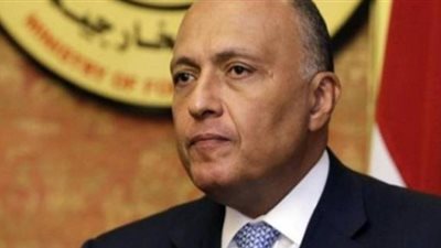 انتخابات الرئاسة المصرية 2018| وزير الخارجية يصل مقر لجنته للمشاركة في العملية الانتخابية