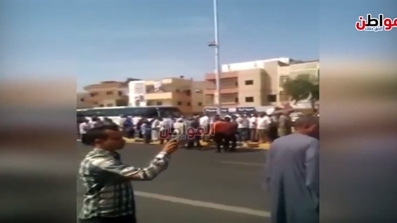 موطنو سفاجا يدلون