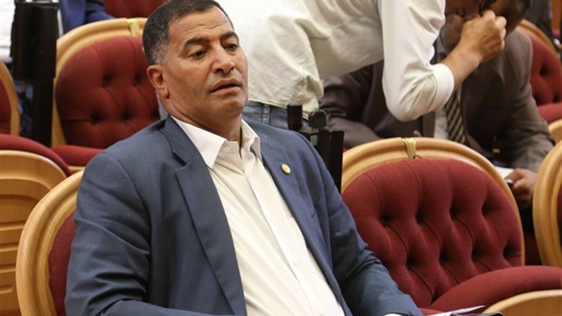 النائب البدرى أحمد