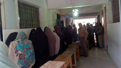 لجان دمياط تستقبل الناخبين فى آخر أيام انتخابات الرئاسة (الصور)