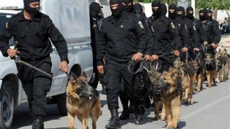 خبراء المفرقعات 