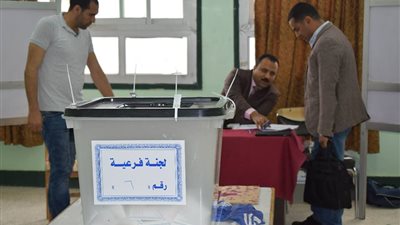 36991 مواطن بجنوب سيناء يشاركون في الانتخابات الرئاسية بنسبة 36.4%