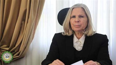 أبو غزالة: لن يتمكن أحد من رصد أي مخالفات خلال فترة الانتخابات المصرية 2018 (فيديو)