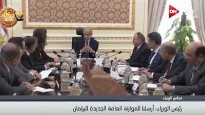 فيديو| رئيس الوزراء: سعر الدولار في الموازنة الجديدة 17.25 جنيه