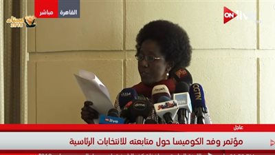 وفد الكوميسا: نؤكد على نزاهة العملية الانتخابية والحكومة المصرية