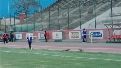 صور| علاء ميهوب يجتمع بنيدفيد