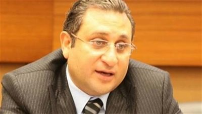 فيديو| أيمن عقيل: مصر أدارت انتخابات الرئاسة 2018 باحترافية في وقت عصيب