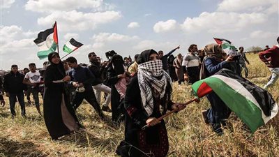 عاجل | فلسطين تتقدم بطلب لعقد جلسة طارئة للجامعة العربية