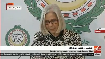 أبو غزالة: الجامعة العربية تتابع تصويت الجاليات المصرية بالخارج