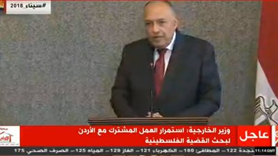شكري: التطورات المؤسفة بقطاع غزة تصدرت الحوار الثنائي مع الأردن 