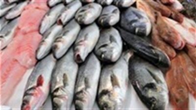 نشرة أسعار الأسماك اليوم الأحد