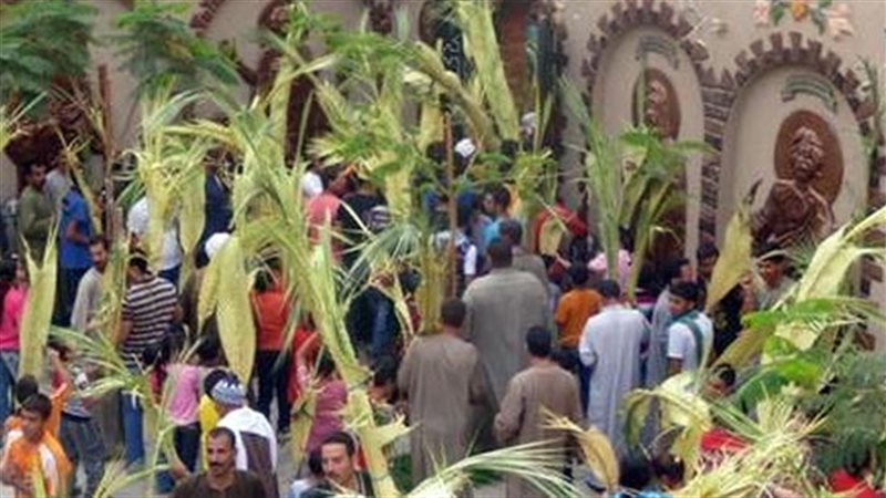 المواطن
