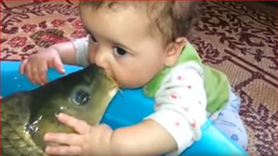 فيديو| طفل صغير