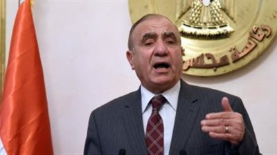 فيديو| أبو بكر الجندي: منظمات المجتمع لها دور فى دفع عملية التنمية المحلية