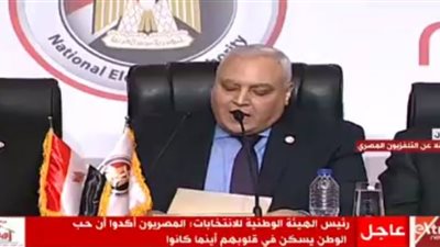 رئيس الهيئة الوطنية للانتخابات: المصريون أكدوا أن حب الوطن يسكن في قلوبهم أينما كانوا