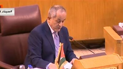 مندوب الأردن بالجامعة العربية: لا استقرار بدون حصول الفلسطينيين على حقوقهم كاملة