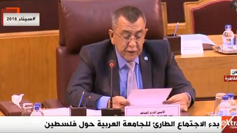 الأمين العام المساعد