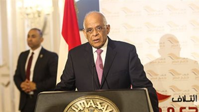 علي عبدالعال: الشعب المصري ضرب المثل في الوفاء والتضحية