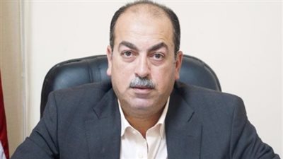 نائب بالبحيرة: زيادة قدر محولات قرية الوفائية بالدلنجات 