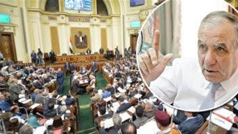 وزير التنمية المحلية
